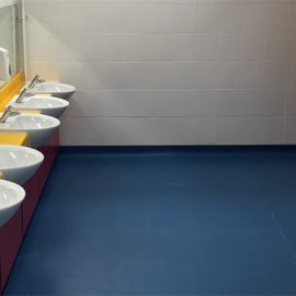 Harris Primary Academy, Crystal Palace –  Toilet conversion