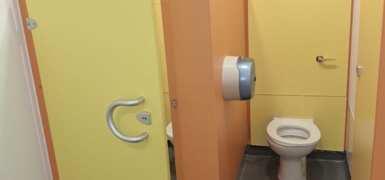 Broadfield Primary School – Toilet Upgrade Works and Repair Broadfield Primary School – Toilet Upgrade Works and Repair